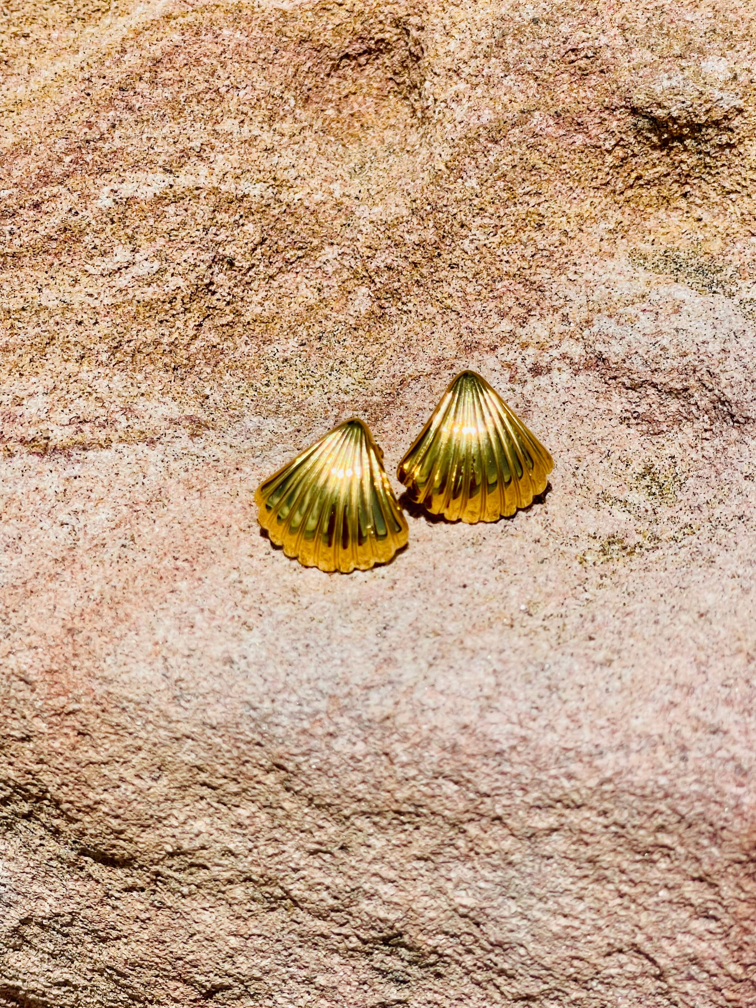 Calluit Shell Callie Shell Earrings – Olive James.